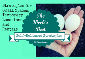 Feb 17 Self Reliance Strategies