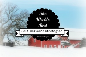 Feb 3 Self Reliance Strategies