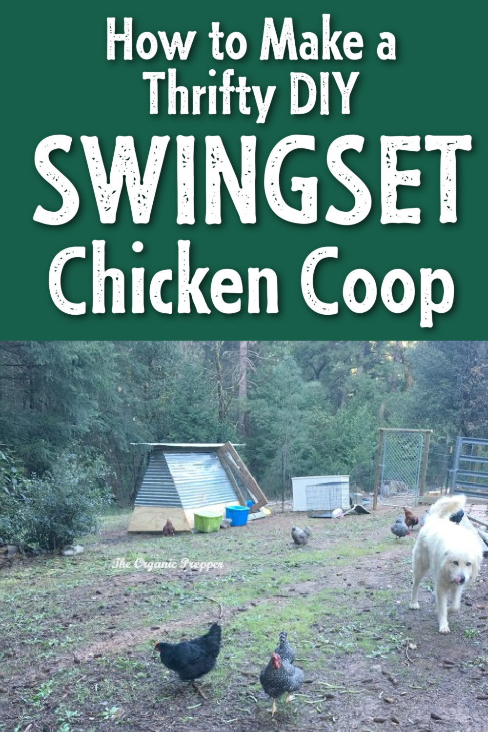 Make a Thrifty DIY Swingset Chicken Coop