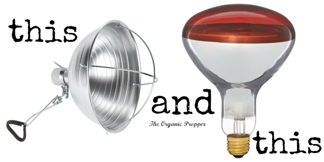 heat lamp and bulb