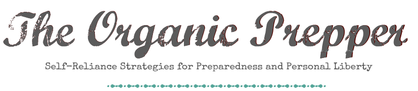 safest dryer sheets and fabric softeners the organic prepper mrs meyer s dryer sheets toxic