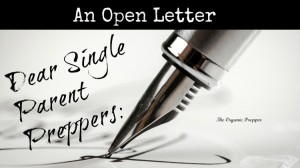 An open letter to single parent preppers