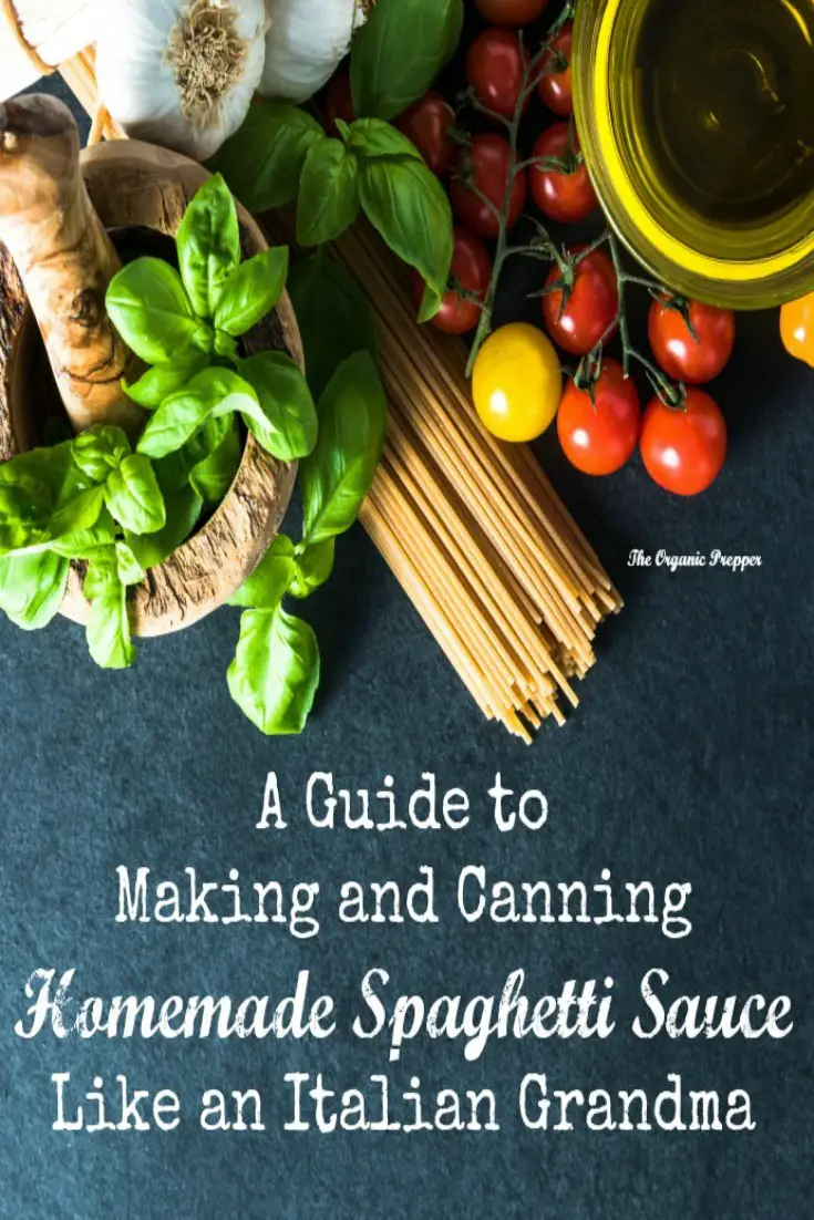 A Guide to Making and Canning Homemade Spaghetti Sauce Like an Italian Grandma