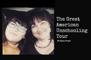 the-great-american-unschooling-tour