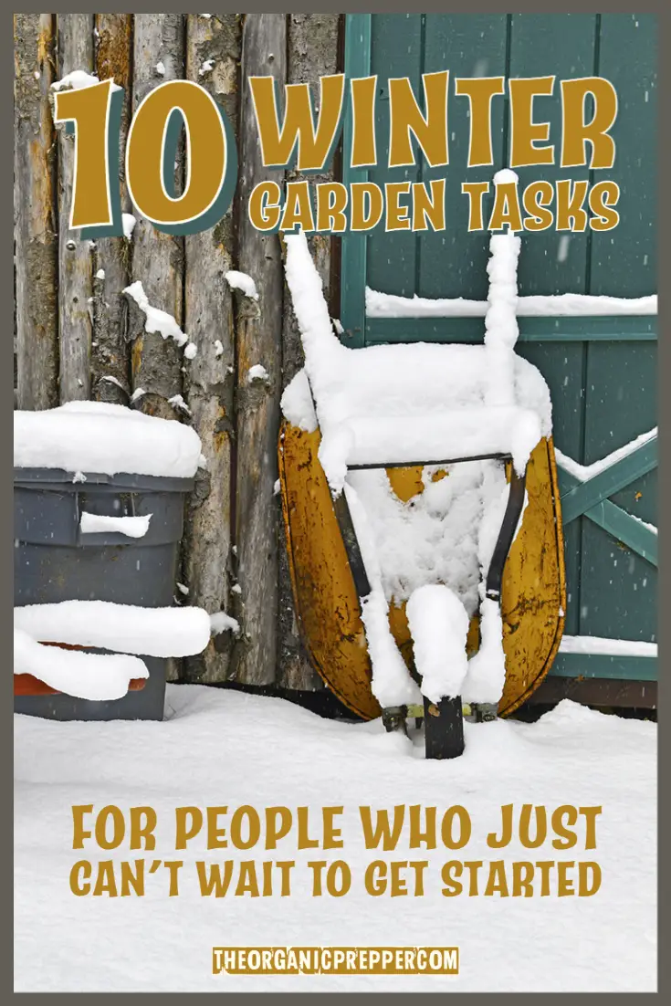 10 Winter Garden Tasks for People Who Just Can\'t Wait to Get Started