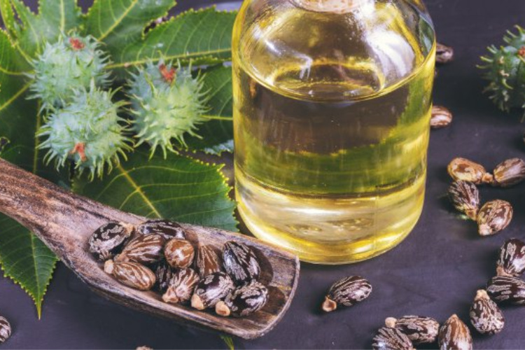 10 (NonYucky) Ways to Use Castor Oil The Organic Prepper