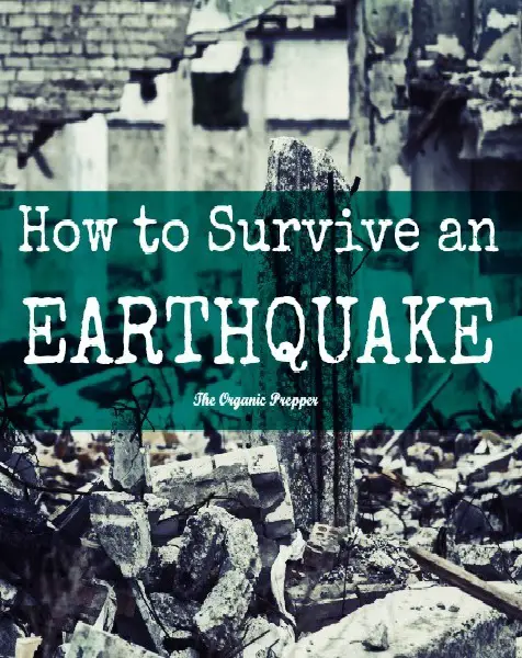 How to Survive an Earthquake (and Its Aftermath)