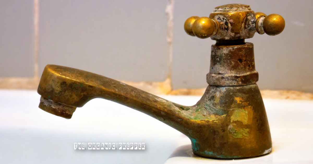 Is There Lead in Your Water? The Organic Prepper