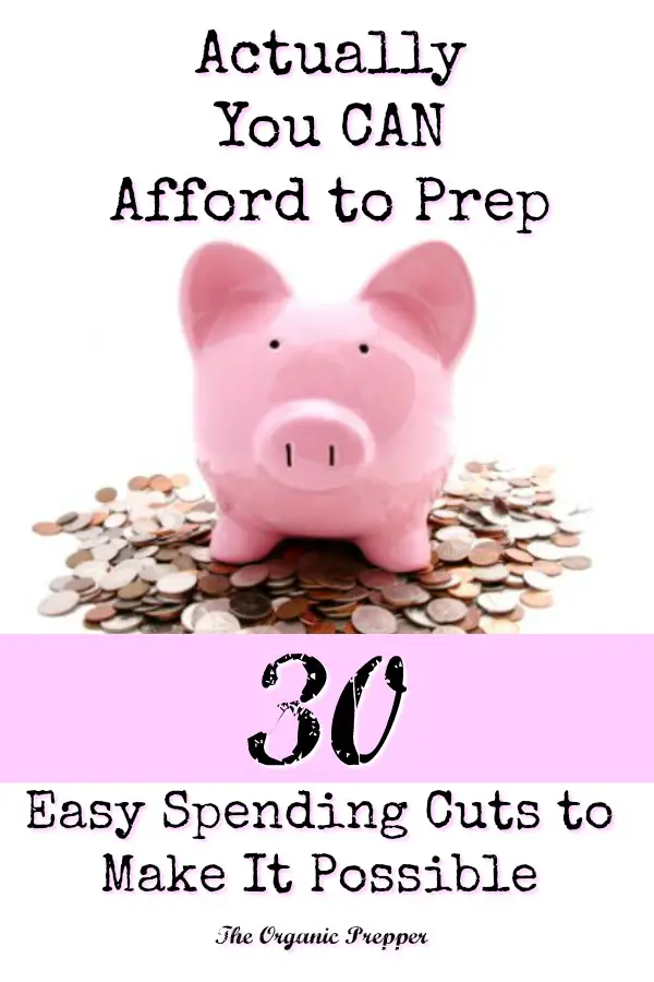 Actually, You CAN Afford to Prep: 30 Easy Spending Cuts to Make It Possible