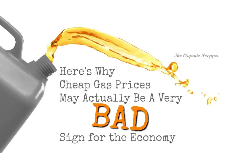 Here is why cheap gas may be a very bad sign for the economy. | Prepping | Economic Collapse | The Organic Prepper