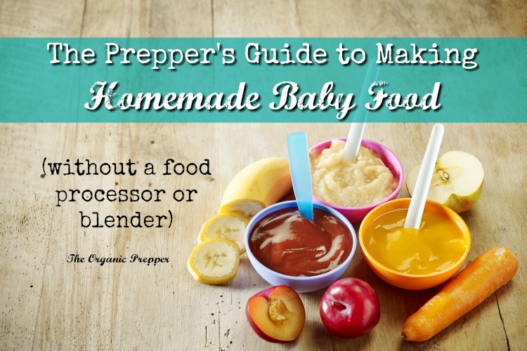 The Prepper's Guide to Making Homemade Baby Food The Organic Prepper