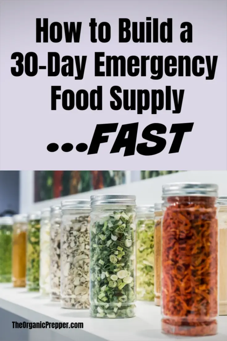 UPDATED LIST: How to Build a 30-Day Emergency Food Supply...Fast