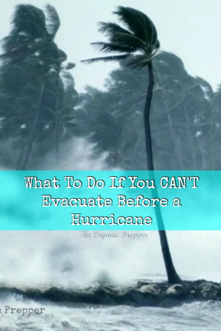 What To Do If It\'s TOO LATE and You Can\'t Evacuate Before a Hurricane