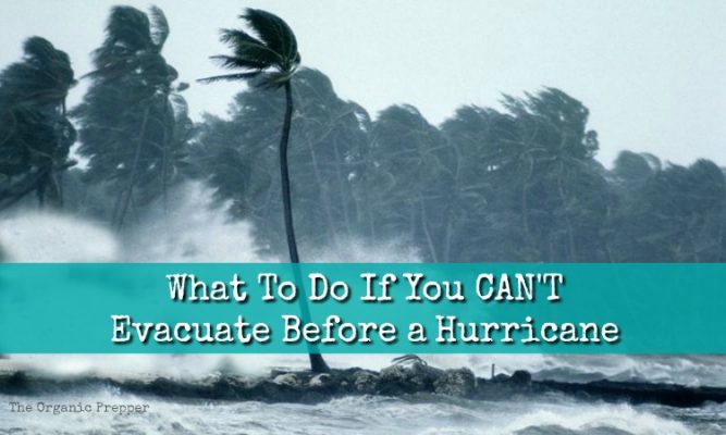 What To Do When You CAN T Evacuate The Organic Prepper