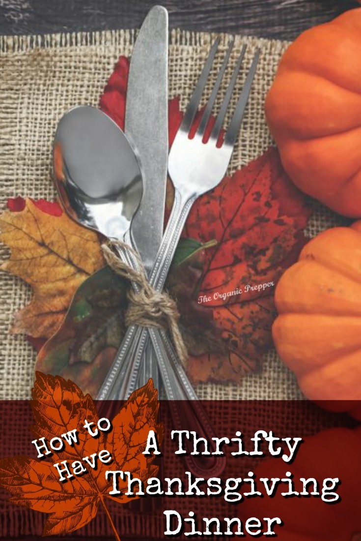 You shouldn't spend an entire month's grocery budget on a lavish meal for the family. Host a thrifty, yet delicious Thanksgiving dinner with these tips.