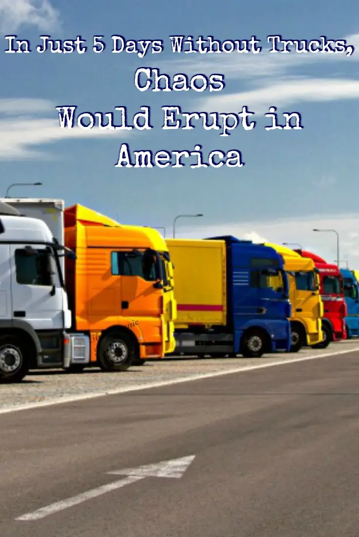 In Just 5 Days Without Trucks, Chaos Would Erupt in America