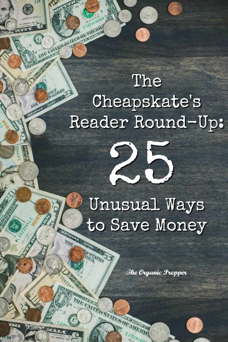 The Cheapskate\'s Reader Round-Up: 25 Unusual Ways to Save Money