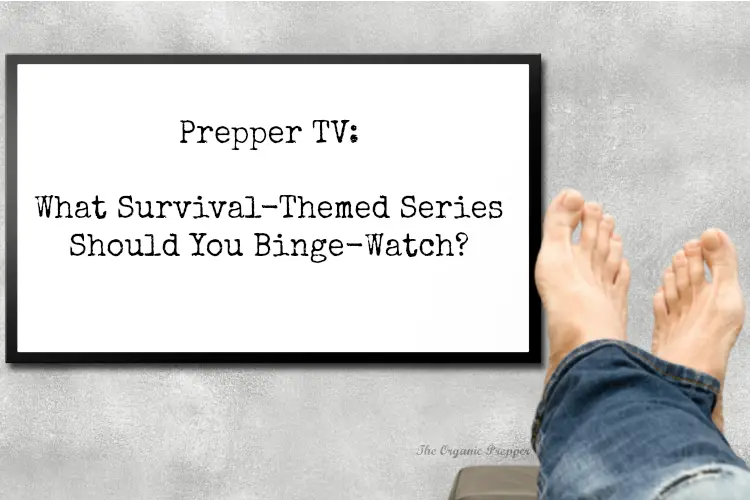 Prepper TV: What Survival-Themed Series Should You Binge-Watch?