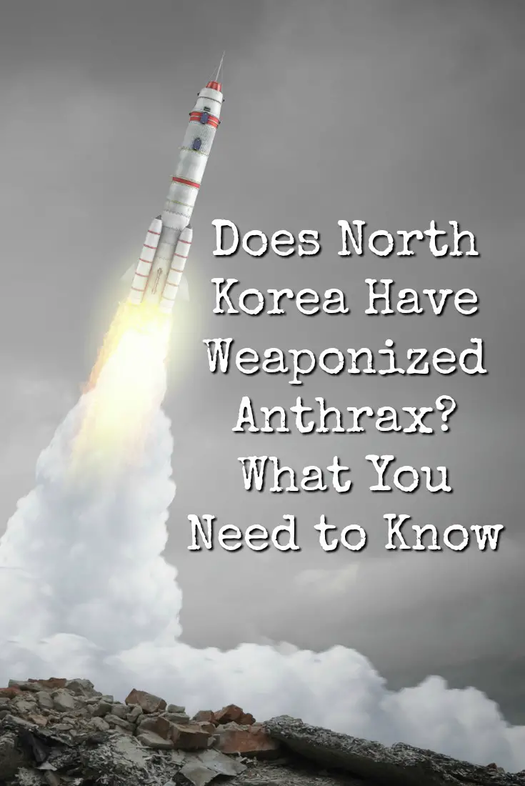 Does North Korea Have Weaponized Anthrax? What You Need to Know