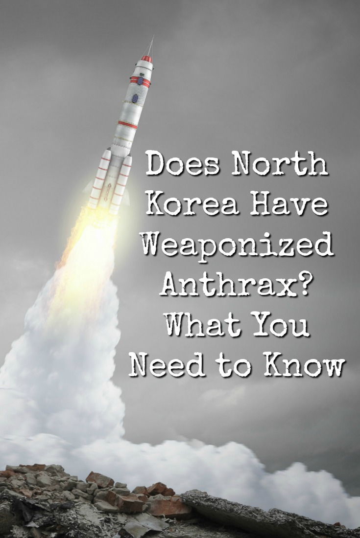 It's possible that North Korea has weaponized anthrax. Here's what you need to know about the 3 types of anthrax and how it's treated.