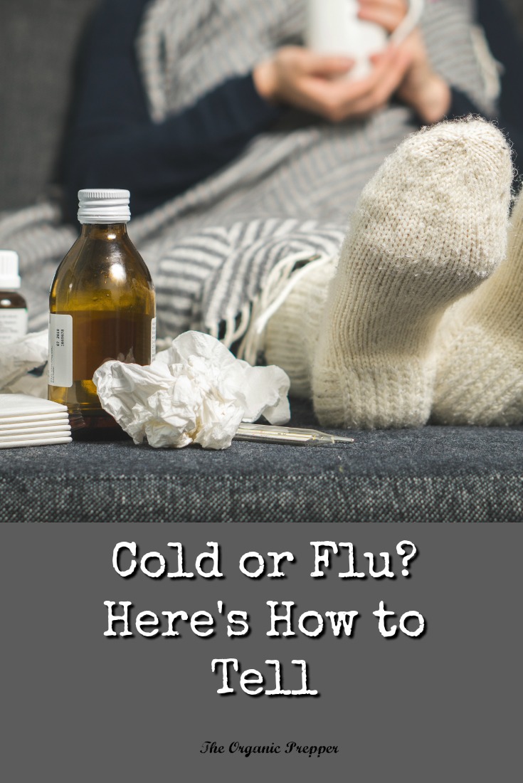 Cold or Flu? Here\'s How to Tell (And Why You Need to Know)