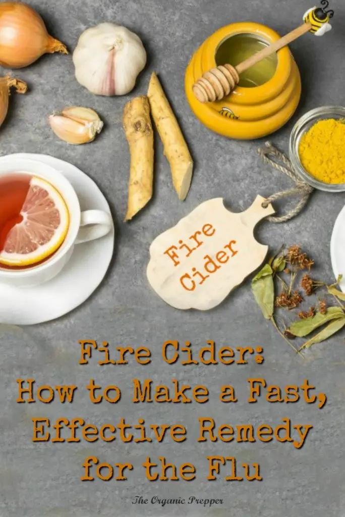 Got the flu? Fire cider is loaded with anti-inflammatory, immune-supporting, and decongestant herbs. It's super simple to make and the ingredients are easy to find.