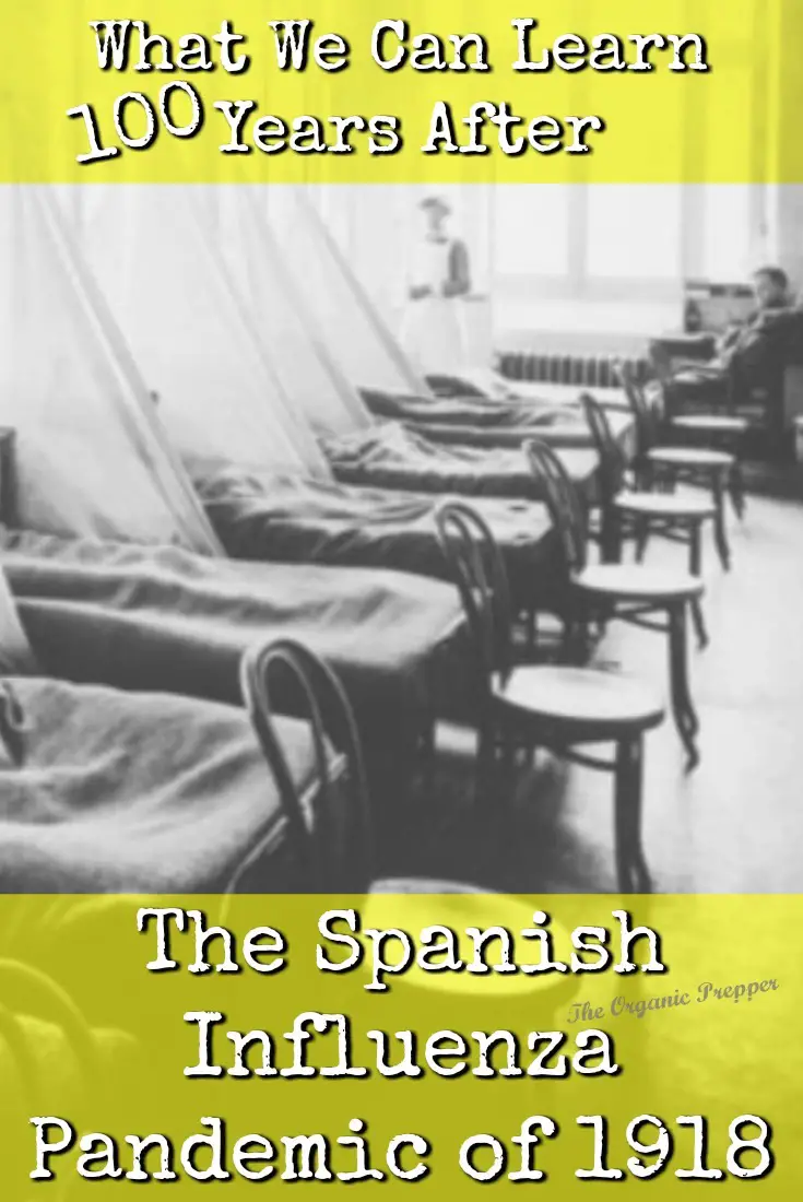 What We Can Learn 100 Years After the Spanish Influenza Pandemic of 1918