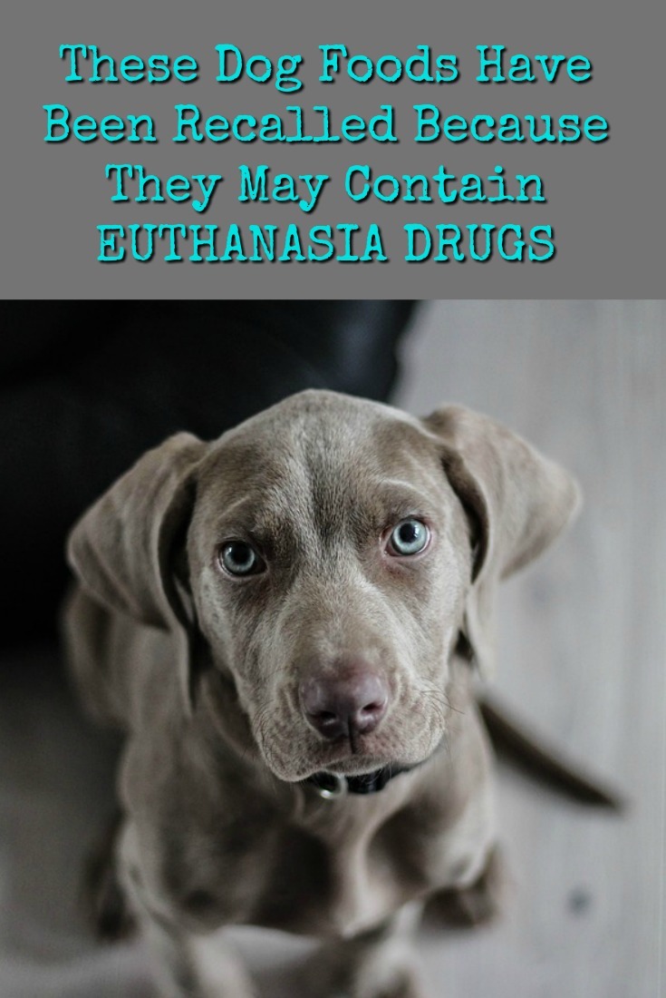 Recalled Dog Food List Recalled Dog Food List