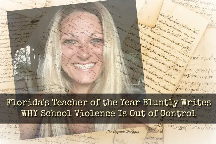 Florida\'s Teacher of the Year Bluntly Writes WHY School Violence Is Out of Control