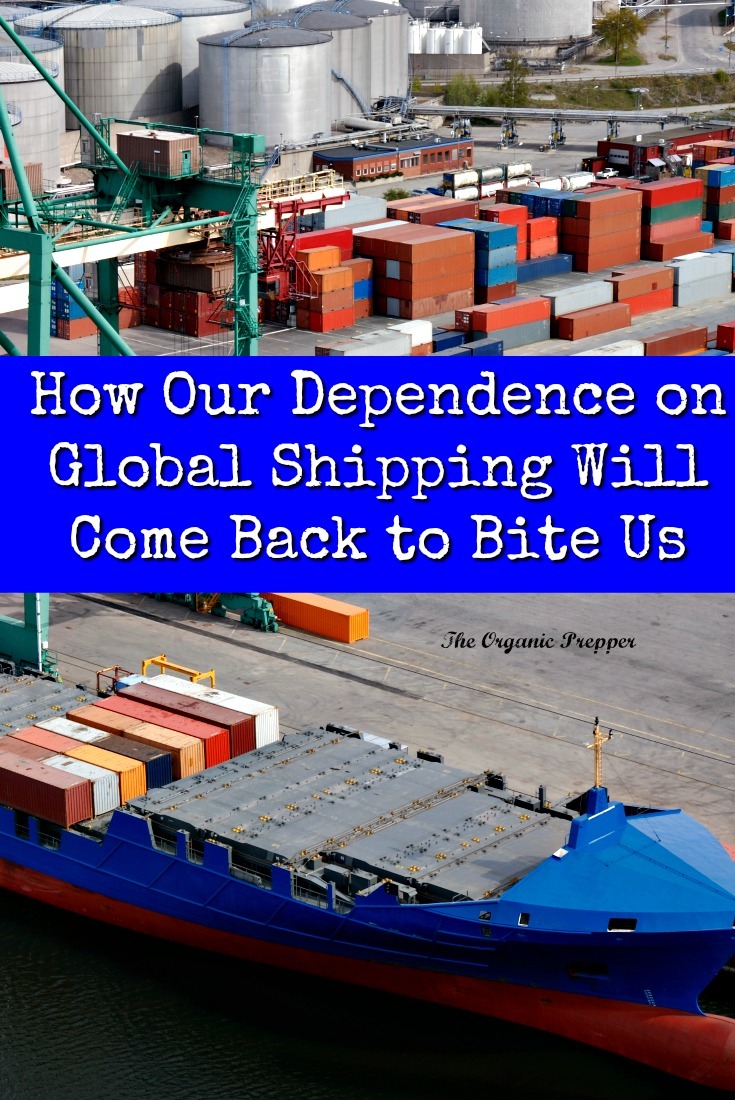If the general public understood how vulnerable our reliance on global shipping made us, they'd all become preppers overnight. Here are just a few ways that supply disasters can strike. | The Organic Prepper