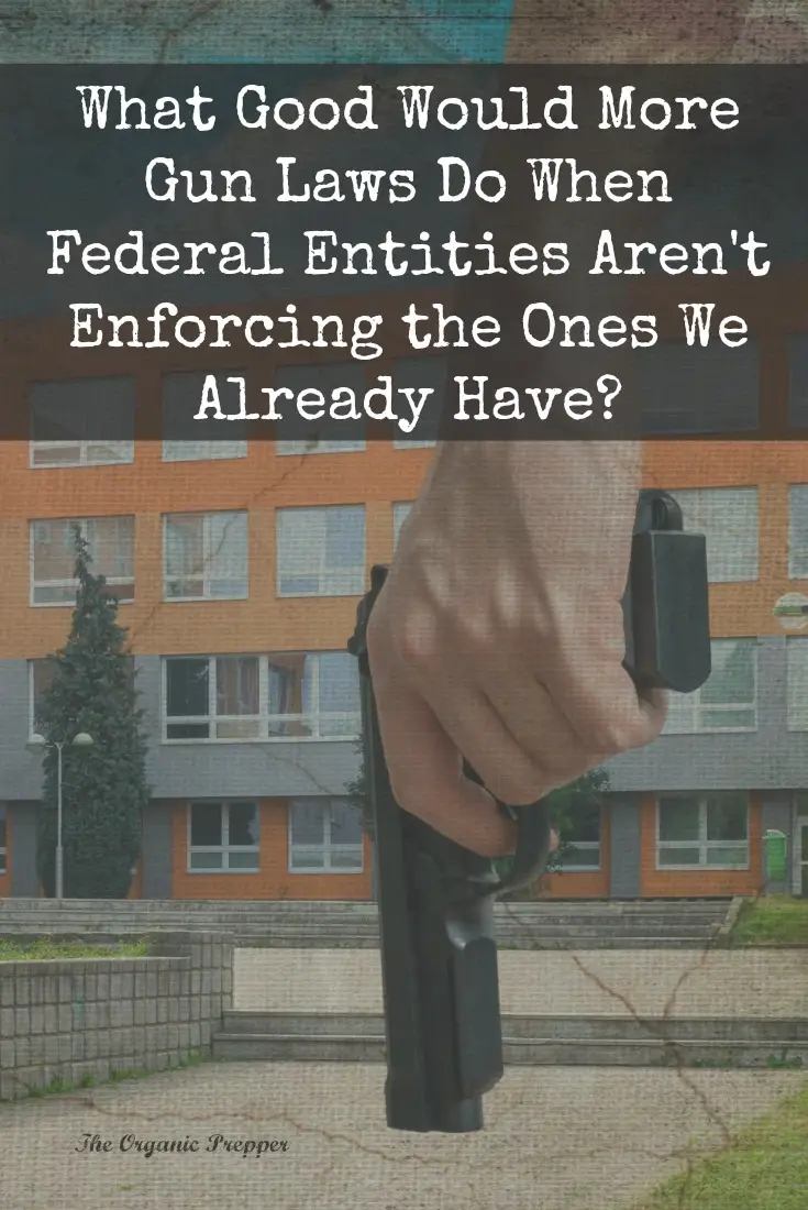 What Good Would More Gun Laws Do When the Feds Don\'t Enforce the Ones We Already Have?