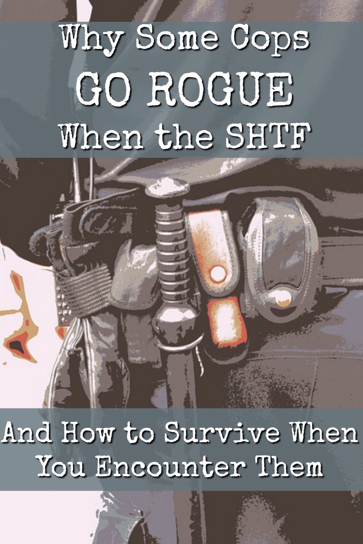 Why Some Cops WILL Go Rogue When the SHTF (And How to Survive When You Encounter Them)
