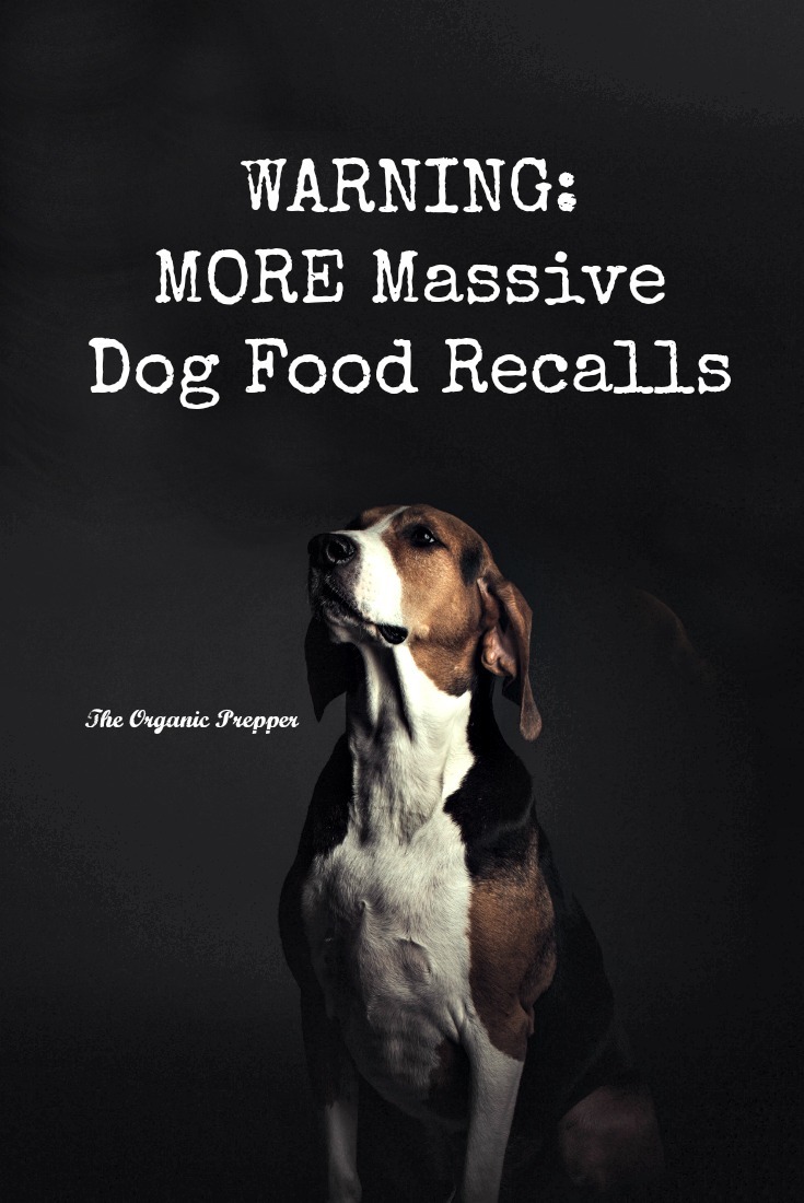 Another dog food recall! Now even more companies have recalled potentially deadly dog food.Check to see if your pet's food is on this new list. | The Organic Prepper