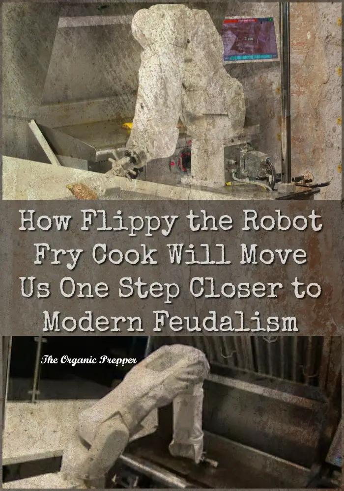 How Flippy the Robot Fry Cook Will Move Us One Step Closer to Modern Feudalism