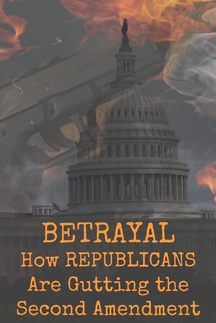 If you voted Republican to protect your 2A rights, you were betrayed. The new budget bill undermines gun rights and it isn't just Democrats voting for it.