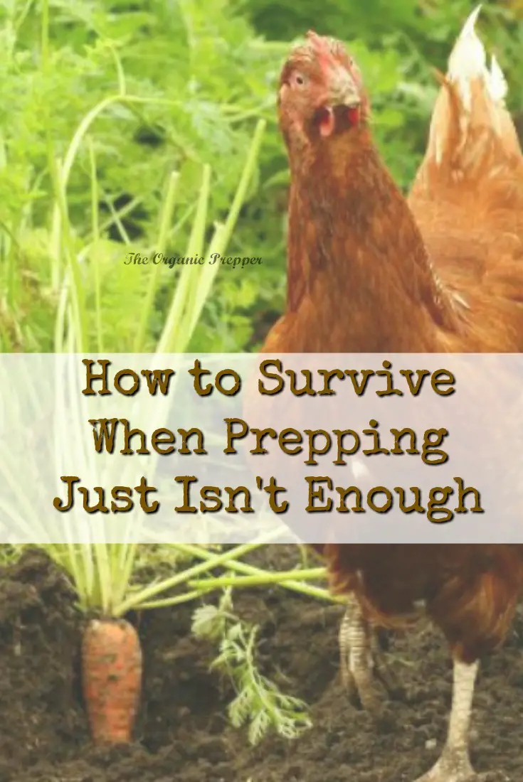 How to Survive When Prepping Just Isn\'t Enough