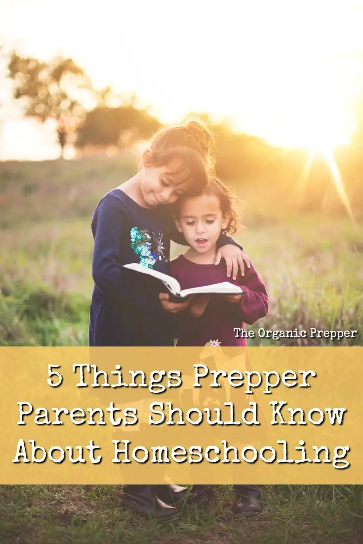 5 Things Prepper Parents Should Know About Homeschooling