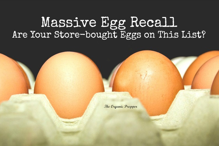 Massive Egg Recall Are Your Storebought Eggs on This List? The