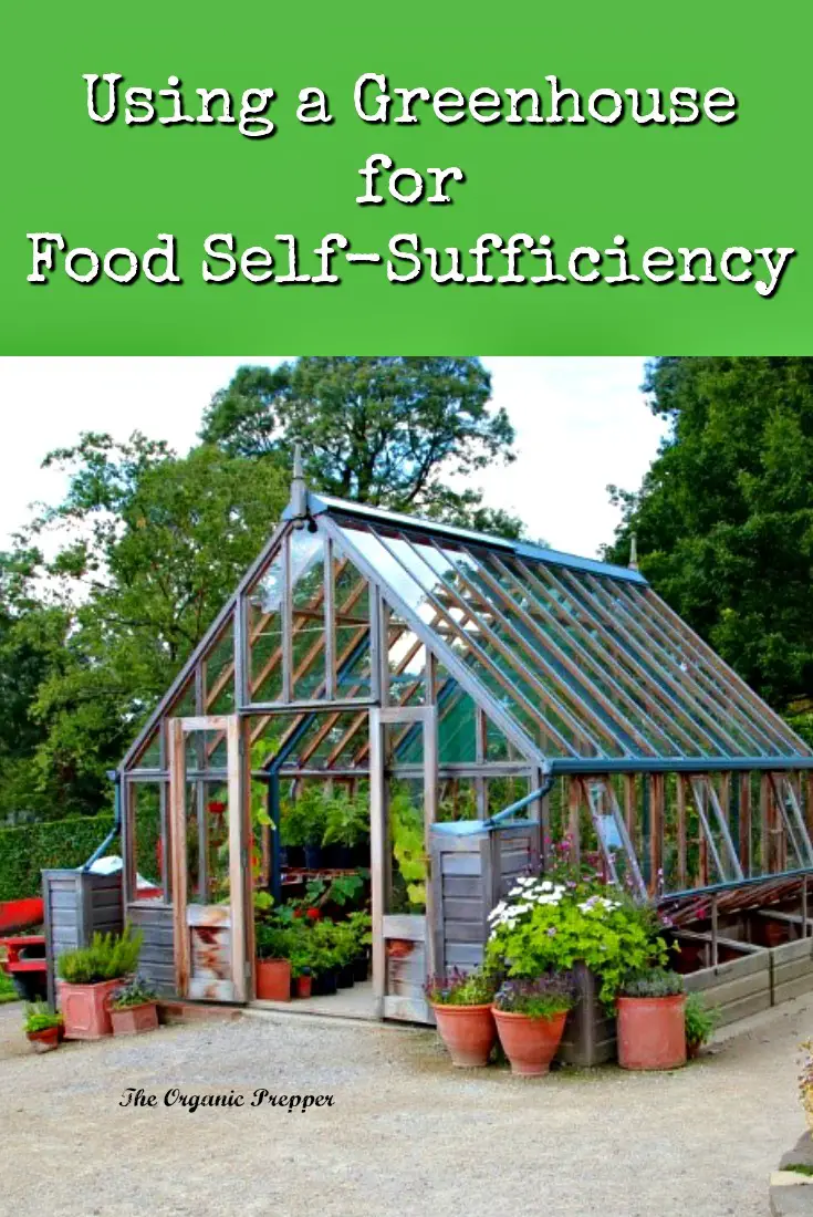 Using a Greenhouse for Food Self-Sufficiency