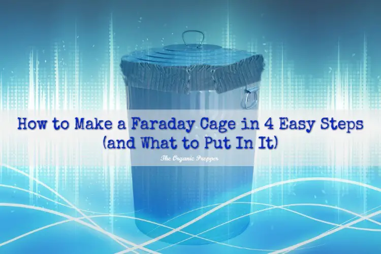 DIY Faraday Cage – Practical Disaster Preparedness for the Family