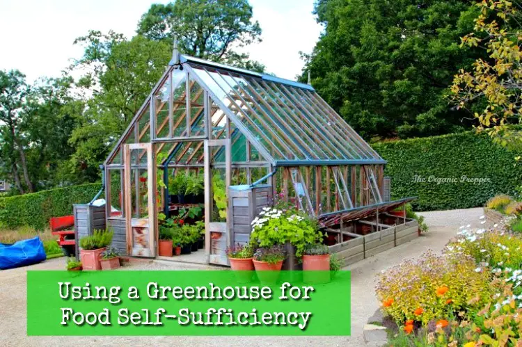 Greenhouse Gardening Using-a-Greenhouse-for-Food-Self-Sufficiency