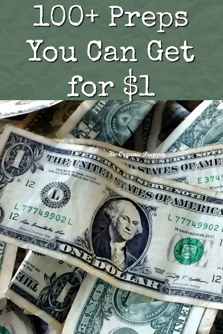 100+ Preps You Can Get for $1