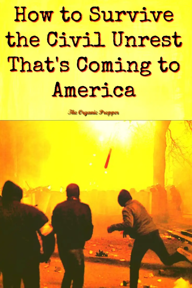 How to Survive the Civil Unrest That\'s Coming to America