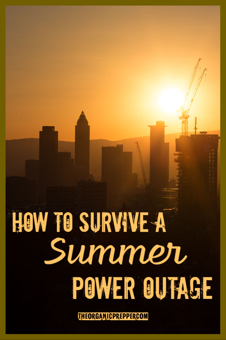 How to Survive a Summer Power Outage