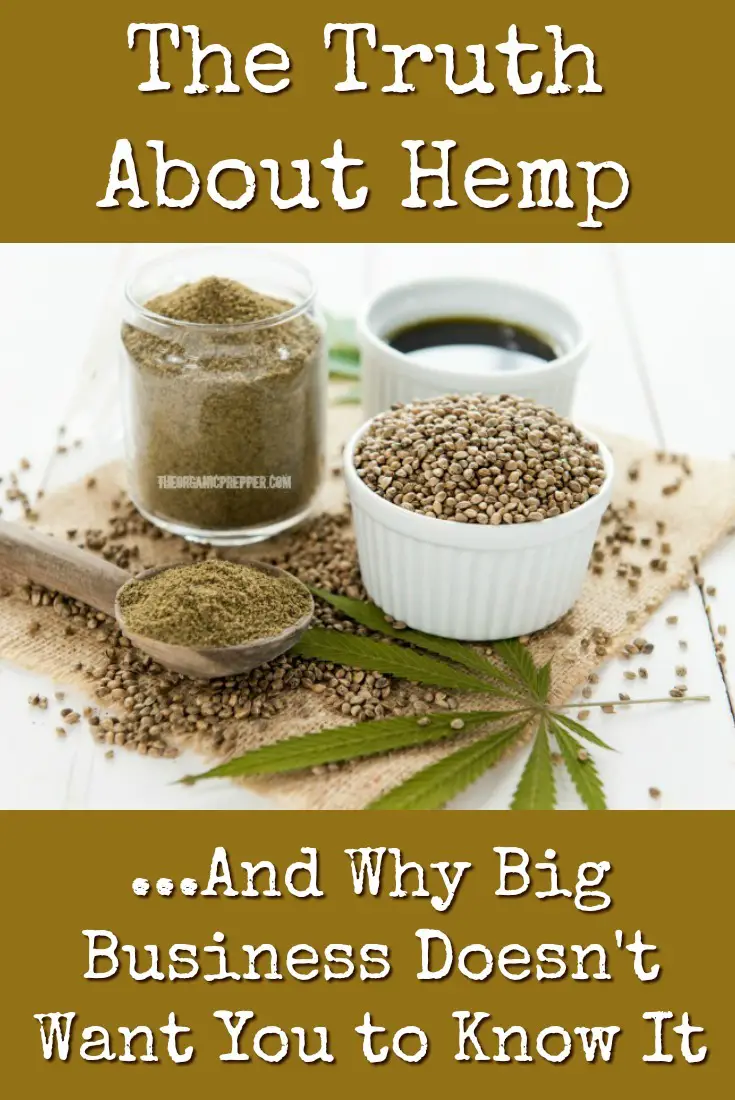 The Truth About Hemp (And Why Big Business Doesn\'t Want You to Know It)