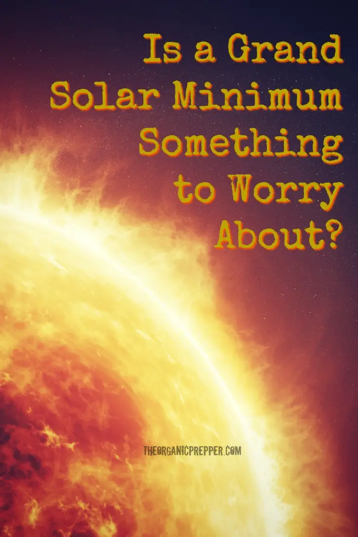 Is a Grand Solar Minimum Something We Should Worry About? Is Another \