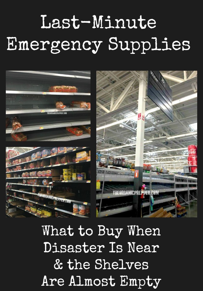 Last-Minute Emergency Supplies: What to Buy When the Shelves Are Almost Empty