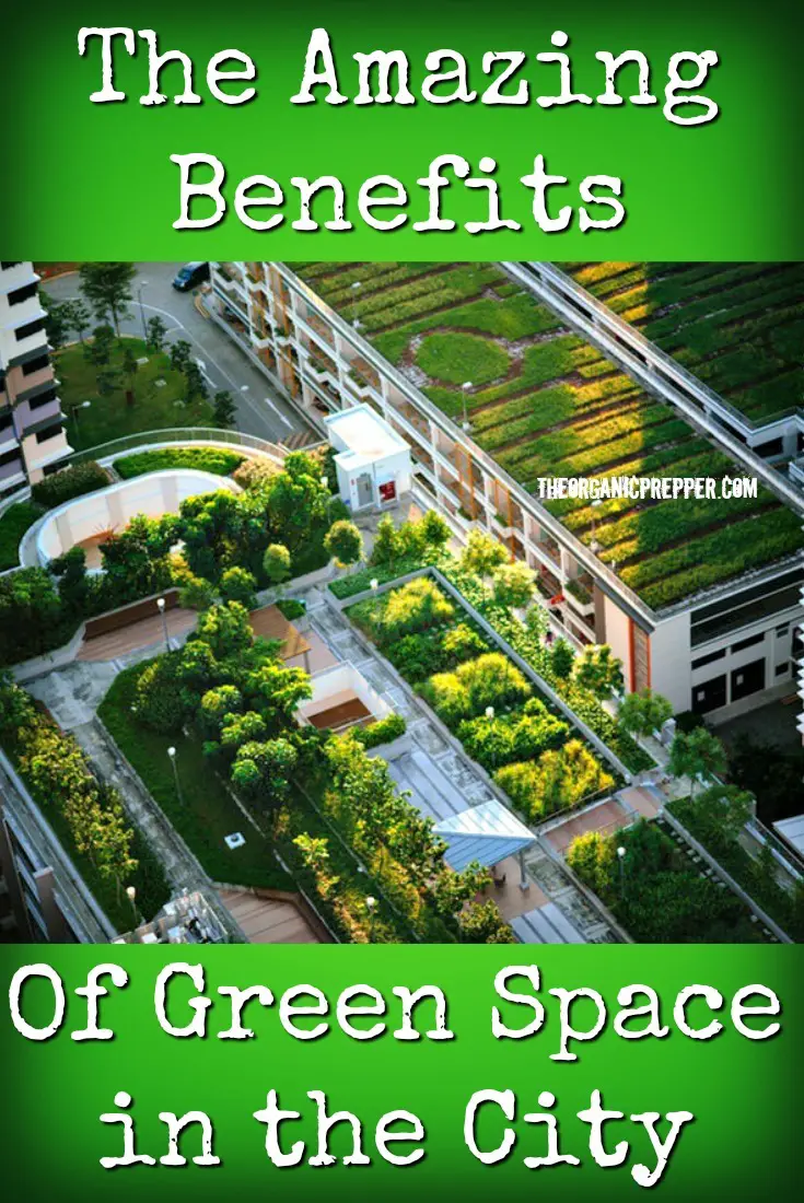 The Amazing Benefits of Green Space in the City