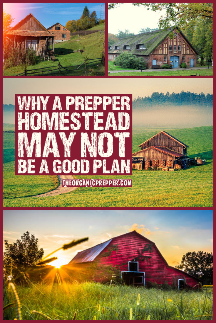 A Reality Check for Those Who Plan to Start a Prepper Homestead AFTER the SHTF