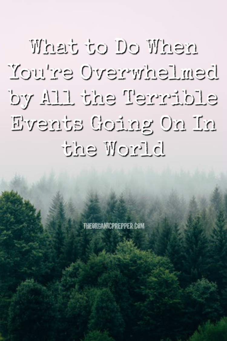 What to Do When You\'re Overwhelmed by All the Terrible Events Going On In the World
